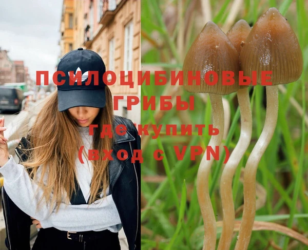 хмурый Армянск