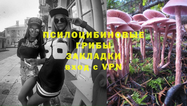 мяу мяу мука Аркадак