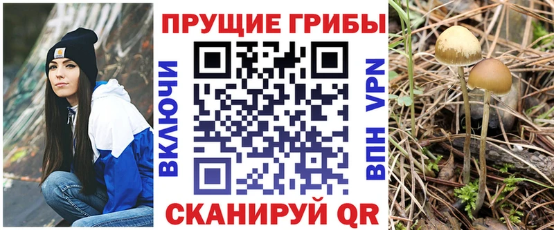 Купить закладки  Углегорск  Псилоцибиновые грибы мухоморы 