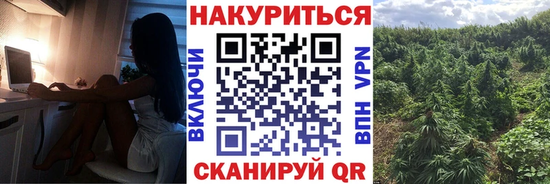 Купить закладки  Углегорск  Марихуана Ganja 